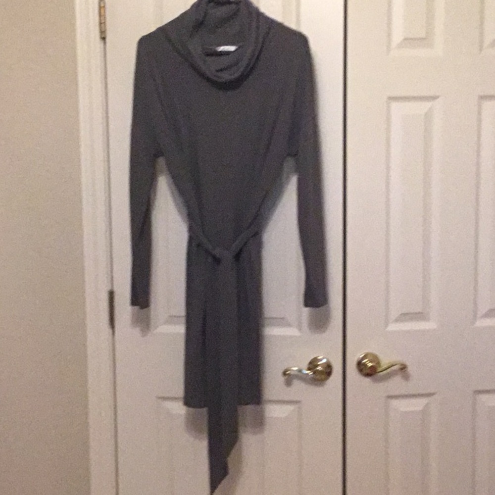 Cabi Sweatshirt feel  Dress, Size M, color is Gray